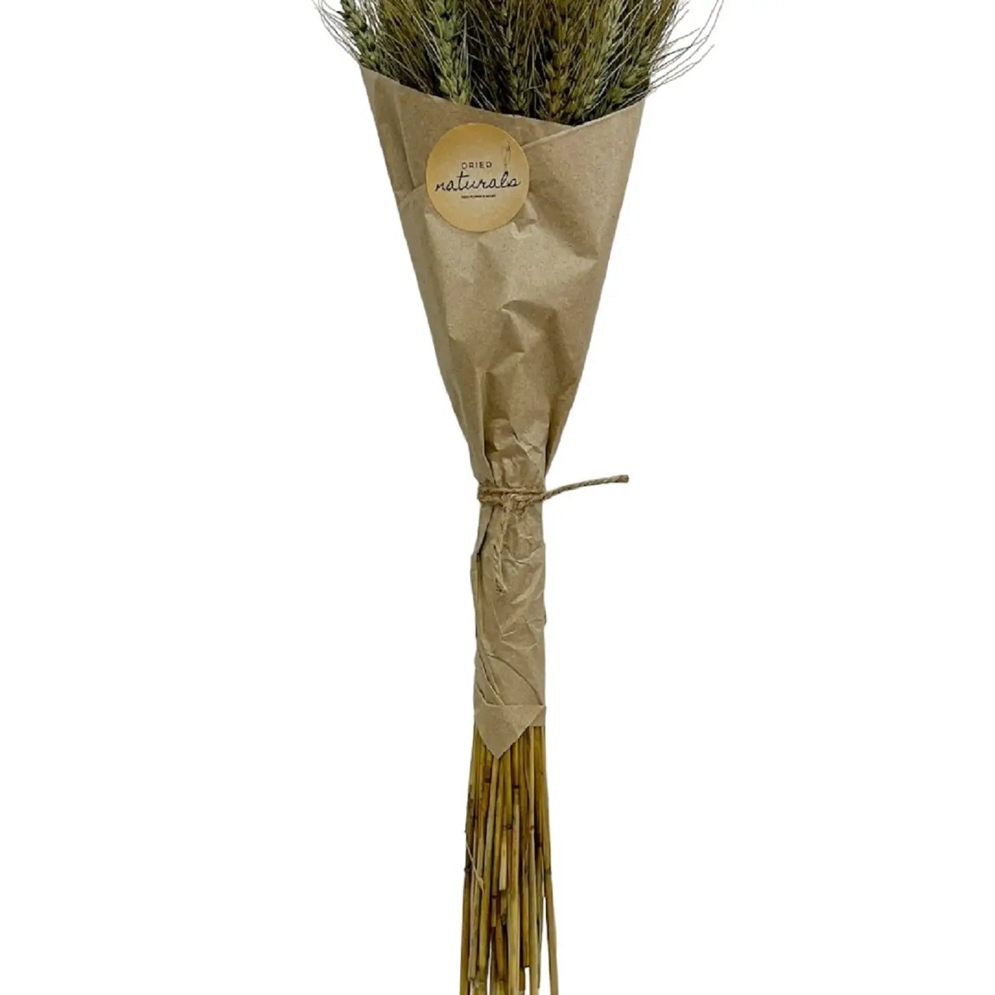 Wheat Grass in Craft Paper