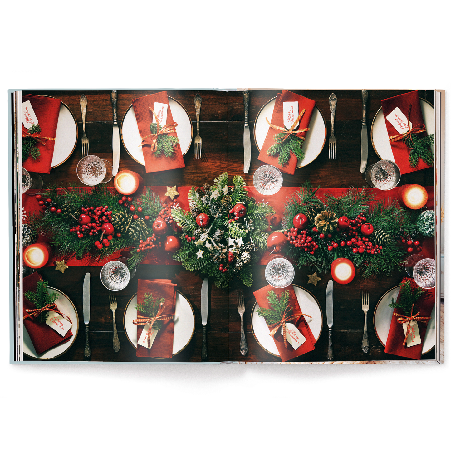 Home for Christmas Book