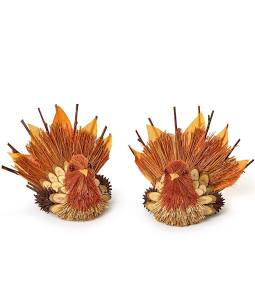 Turkey Decor/Place Card Holder